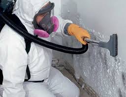 Biohazard Mold Removal in Stony Point, NC